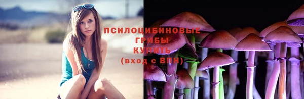 дмт Алексеевка