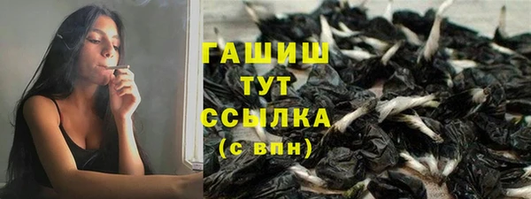 дмт Абаза